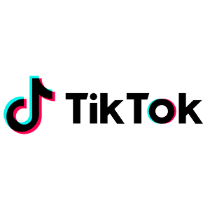 TikTok Logo